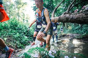 BIB: 
                            <button type="button" onclick="openModal(25436963)" class="btn btn-primary btn-sm float-right btn-popup" data-toggle="modal" data-target=".modal-high-quality">
                        <i class="fas fa-shopping-cart"></i> Add to Cart
                    </button>
                                            <button type="button" onclick="isThisMe(25436963, true)" class="btn btn-success btn-sm float-right btn-popup btn-isme hidden" data-toggle="tooltip" data-placement="bottom" title="นี่คือรูปของคุณใช่ไหม คลิกที่นี่เพื่อเอาเข้าอัลบั้ม">
                        <i class="fas fa-plus"></i> Add to album
                    </button>
                    <button type="button" onclick="isThisMe(25436963, false)" class="btn btn-warning btn-sm float-right btn-popup btn-isnotme hidden">
                        <i class="fas fa-ban"></i> Remove from album
                    </button>